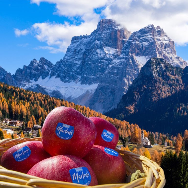 69266258_2666609266706161_1118980383816286208_n