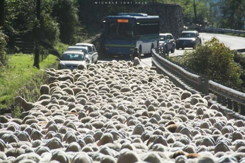 71036409_10217365635545448_5305398213975474176_n