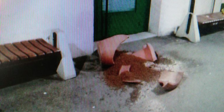 9d2a8a57-cb60-40c7-bc04-ae3774fe8ddf