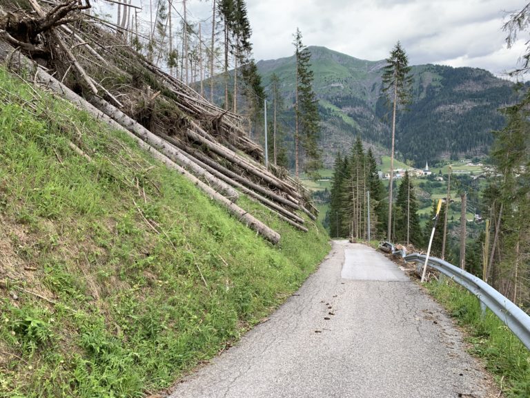 DAVEDINO-dissesto su strada 2