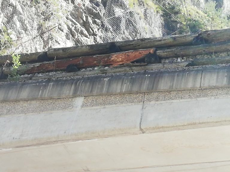 a2f9b443-a16c-497a-9cd8-87ab832beec1