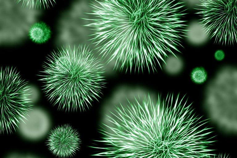 bacteria-426997_1280