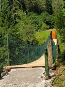 e03bd78d-3aa6-470d-a2bd-fa2eae7a0de6-225×300