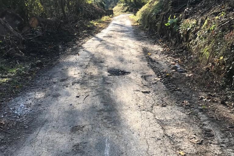 1c5cfe7c-058f-4112-b9a3-b2fc5460f94b