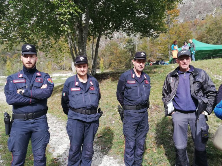 4215811a-14ee-43ab-bf24-33ed74154ba6