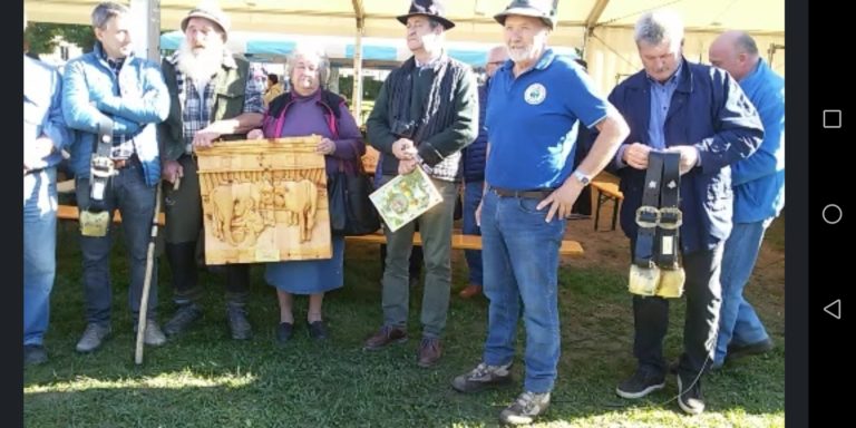 4794cc76-ae05-46ce-bf38-8cdc5cfef6db