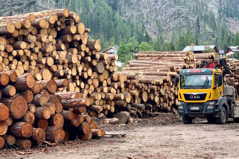 71709970_2860964747289813_2709879846992871424_n