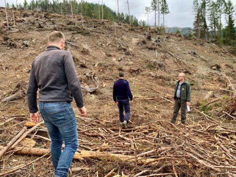 72530424_2860964703956484_8330892001843085312_n