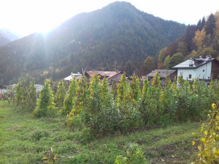 85db7407-40c3-4629-a270-138df6a9cae2