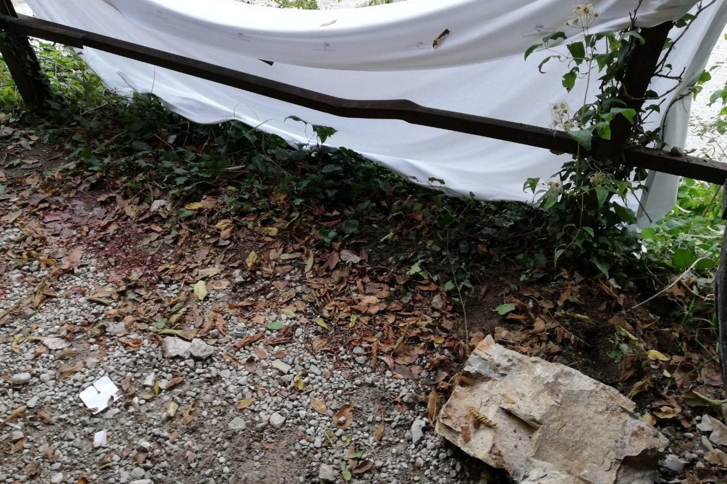 c473b53f-10e6-4957-864c-68c782804b62