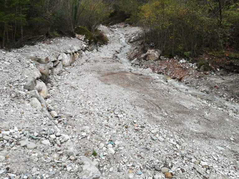 d8dc003a-8a53-4f5a-81f2-287f790fa4bb