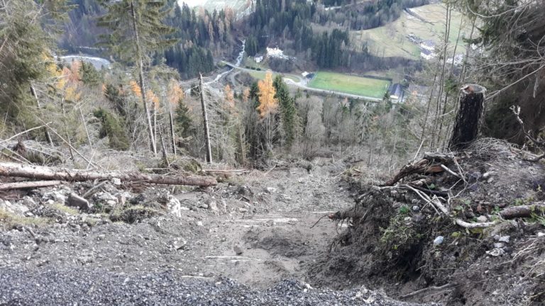 debd4d11-f772-465a-911e-5f571619620d