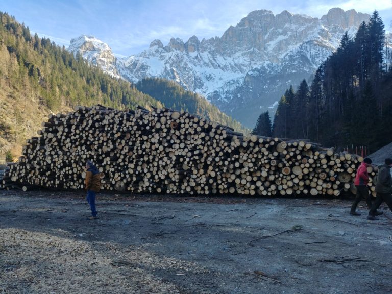 08c4d9ce-1bc9-45f7-870a-a2ea196f4425