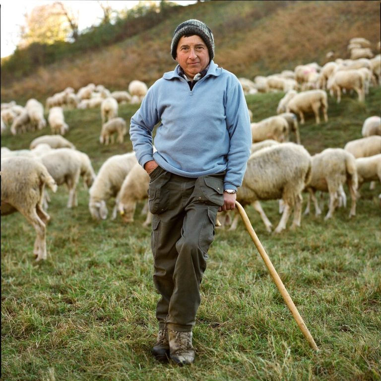 79350870_2800170963395229_3785409627223490560_n