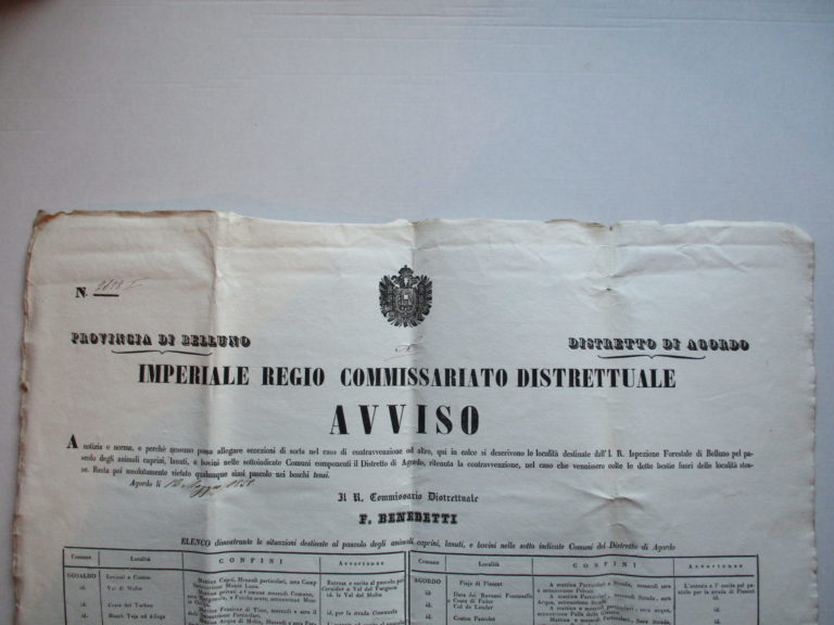 80678616_10215531536661186_3451152556166742016_o