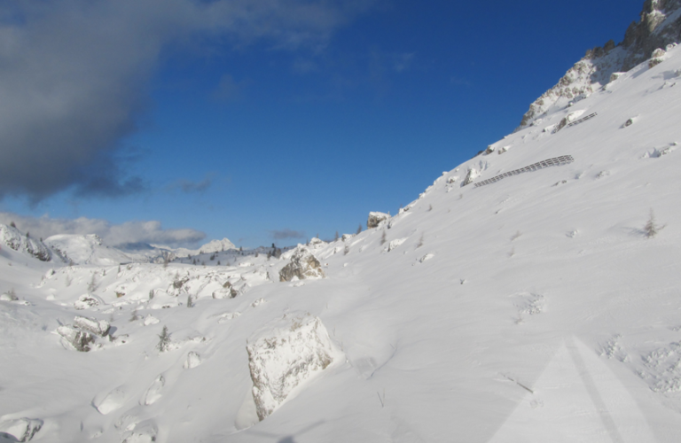 ARABBA RECORD NOV2019