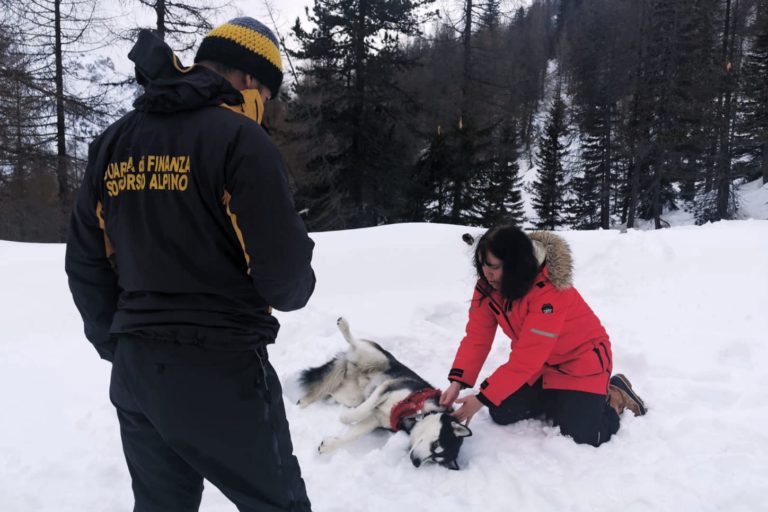 IMG-20191217-WA0002