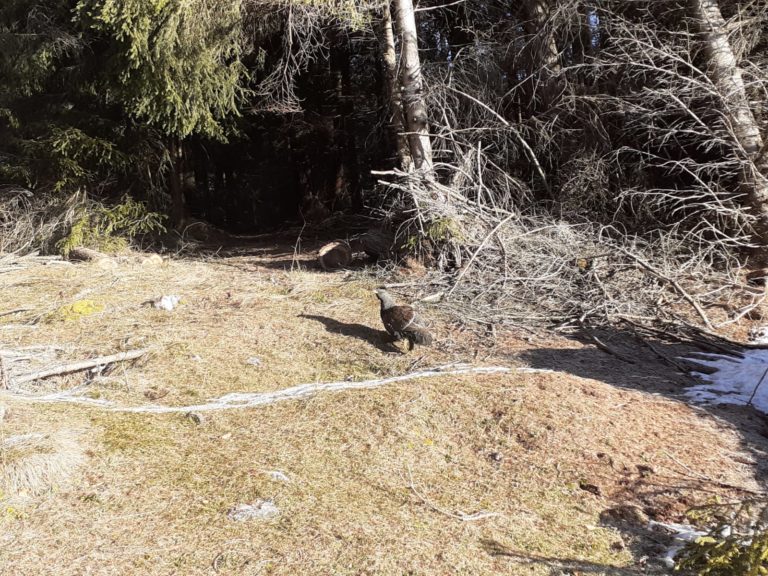 PHOTO-2019-12-04-10-47-31