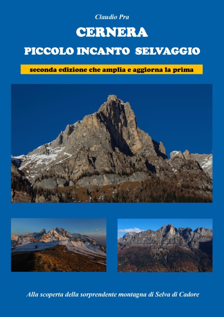 d92a2d51-21a4-41c3-addd-949463c5acf3