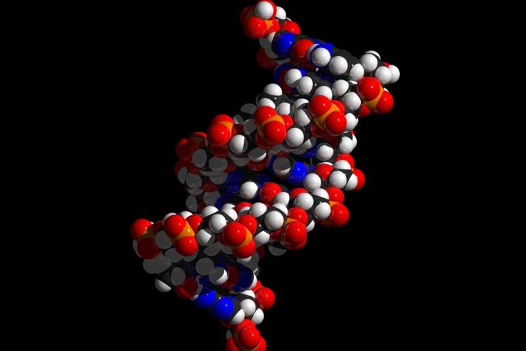 dna-694798_1280