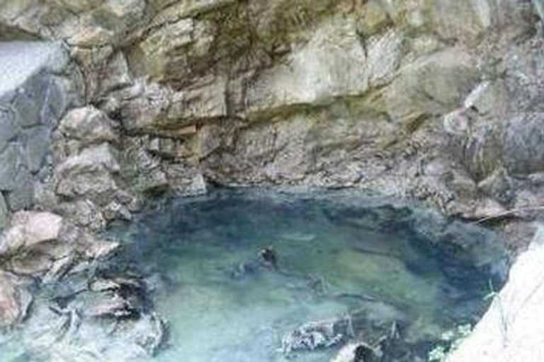 solforosa0