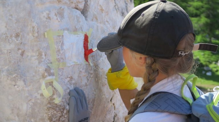 2ff1a30c-f2b3-4a6c-92d2-19df58df1d6d