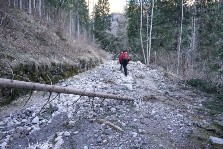 5366aa5b-795a-469f-92ee-896ec0d2d129