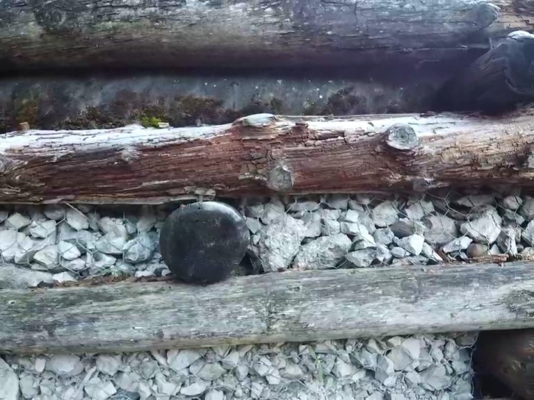 6911c109-19fb-4226-8804-66f33722e10f