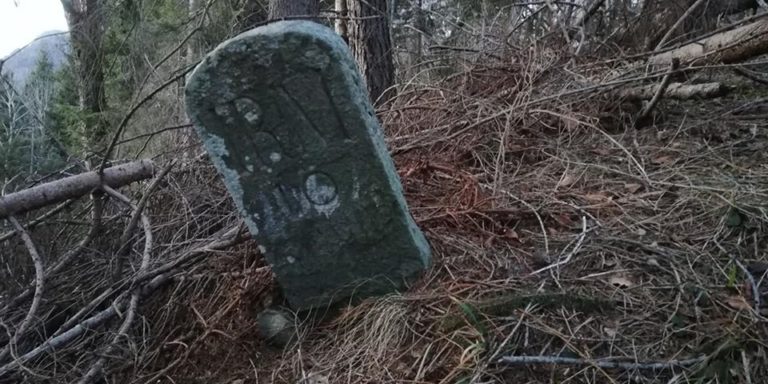 82302096_10218167115682697_5607934288671539200_o