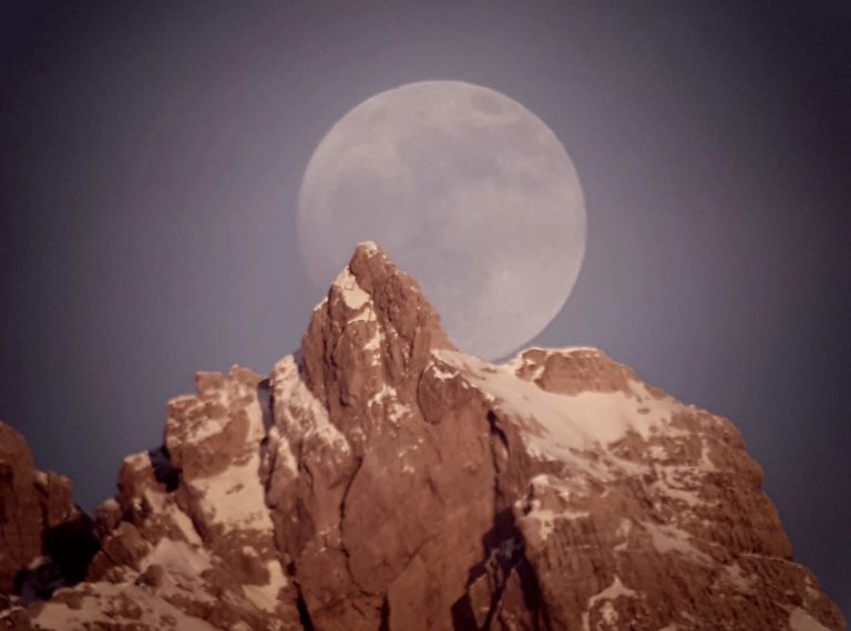 91a41d47-c83d-4813-9392-8de15dc1d362