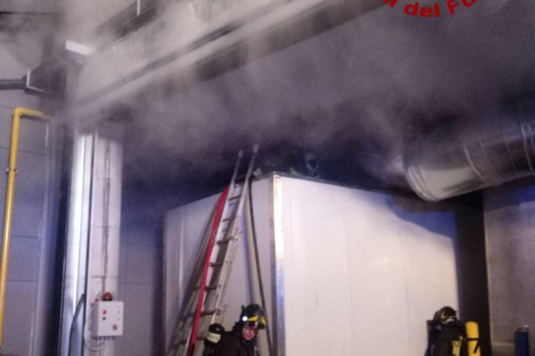 WhatsApp Image 2020-01-06 at 23.11.39