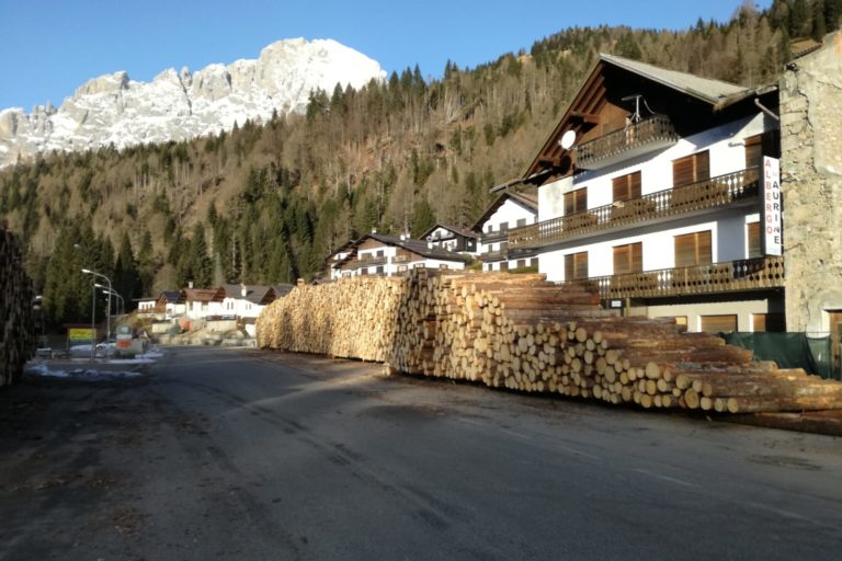 esbosco forcella aurine 1