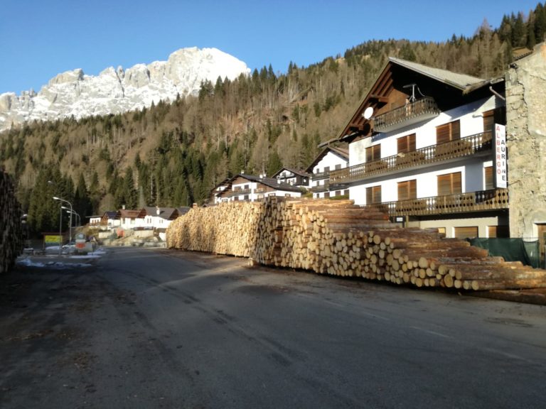 esbosco forcella aurine 1