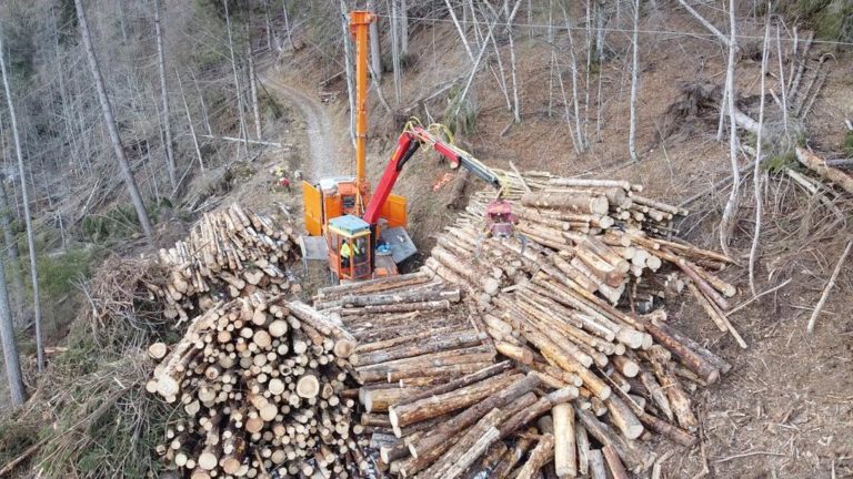 fda90a85-2695-4dd8-a106-370fb4956a24