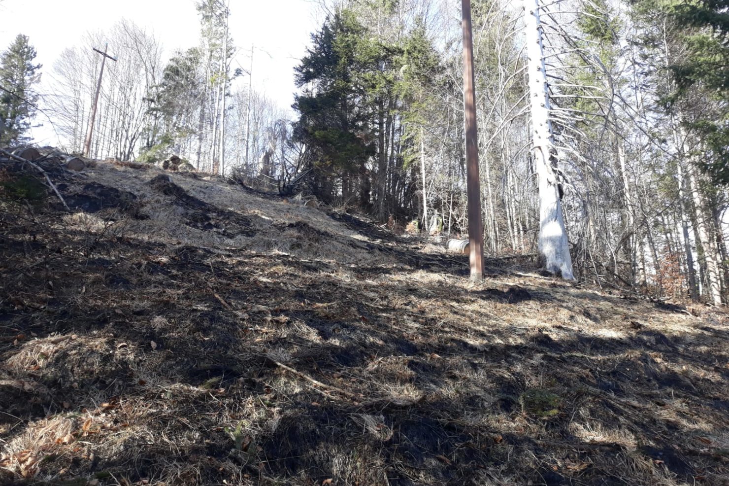 0794f342-bacb-40fe-9f55-b3c264a1aee1