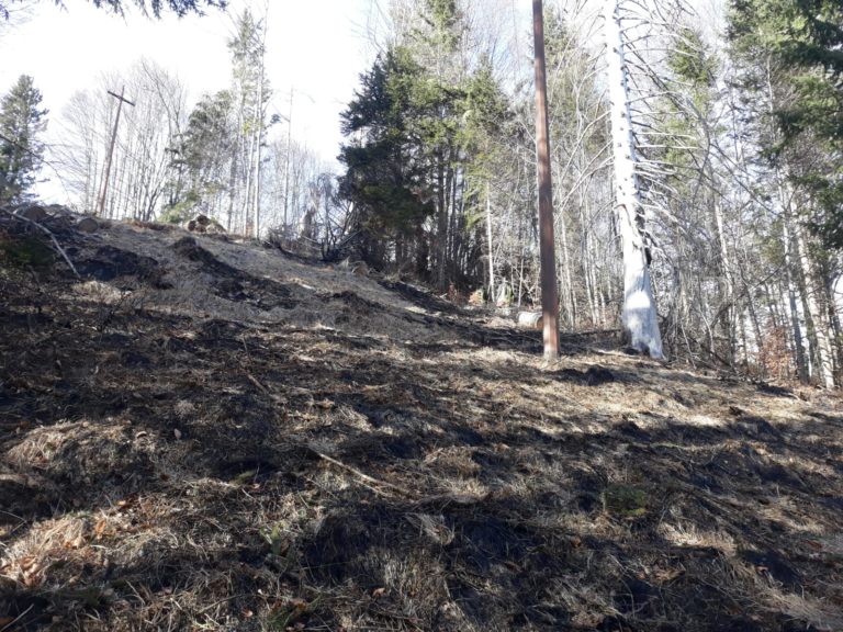 0794f342-bacb-40fe-9f55-b3c264a1aee1