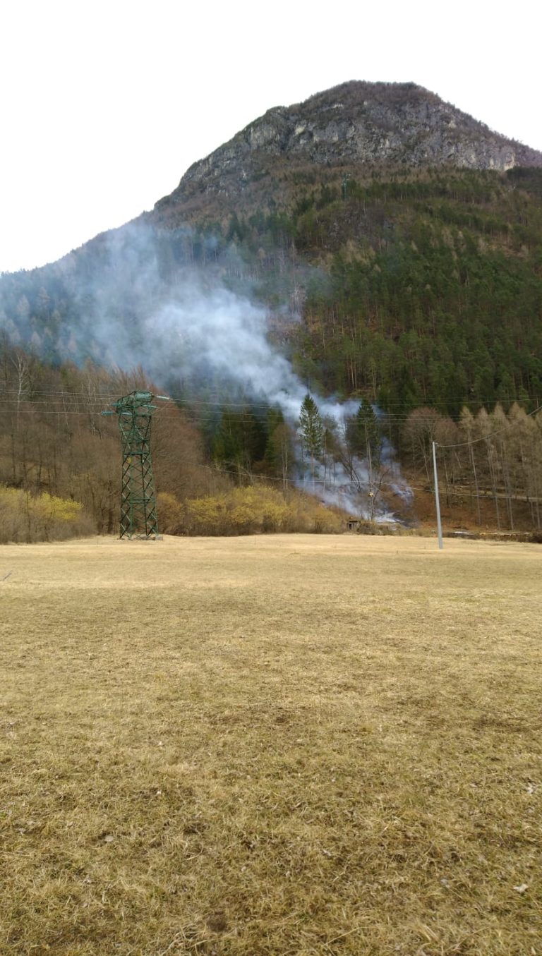 1124841e-d0b7-4683-b8f4-3c369f82930f