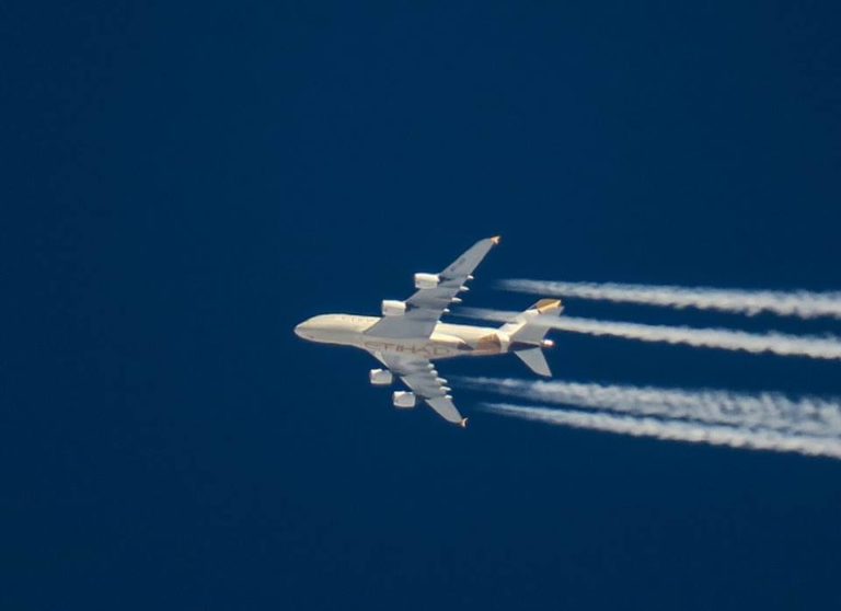 54523727_10219289130685881_2941203770488389632_n