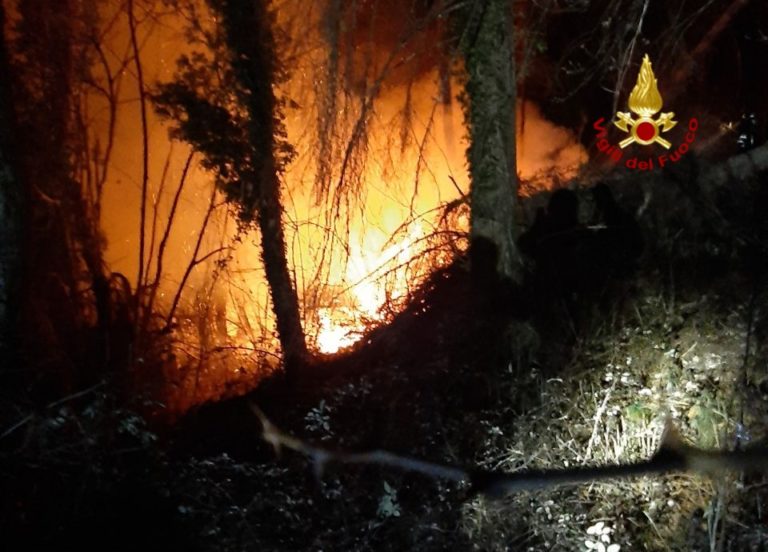 77EFC00B-CE50-4C88-9B9C-93A0904E252B