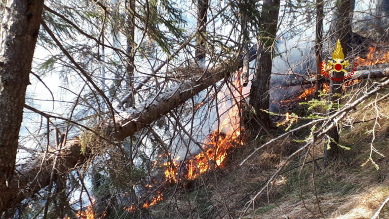 7820eb92-0c84-43eb-8953-5063ab2236ee