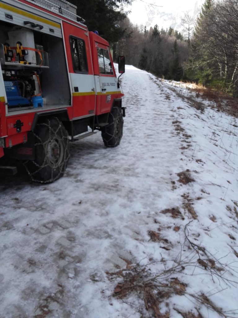 8b65c35d-c3dc-4973-8aef-9a99b55bb797