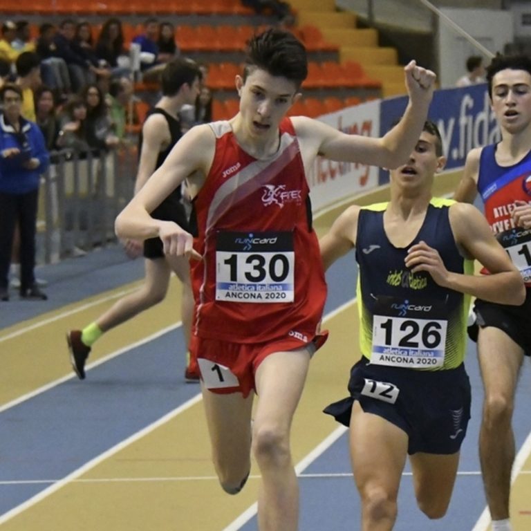 THOMAS SERAFINI – ANCONA