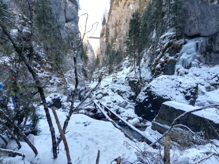 ddebbb99-ebfa-4ff8-bd04-055b8a7afd3c