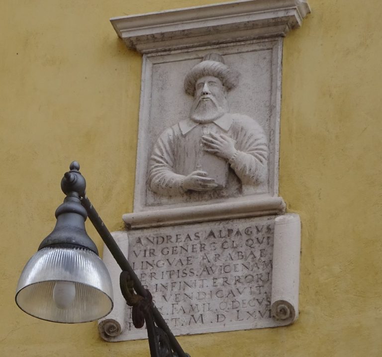 88265885_876048679502518_2438788731109376000_n