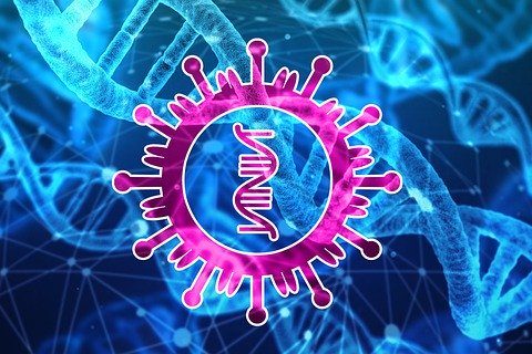 coronavirus-4844620_640