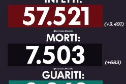 e01e1674-4a7e-434e-9d2e-b1a69733b641
