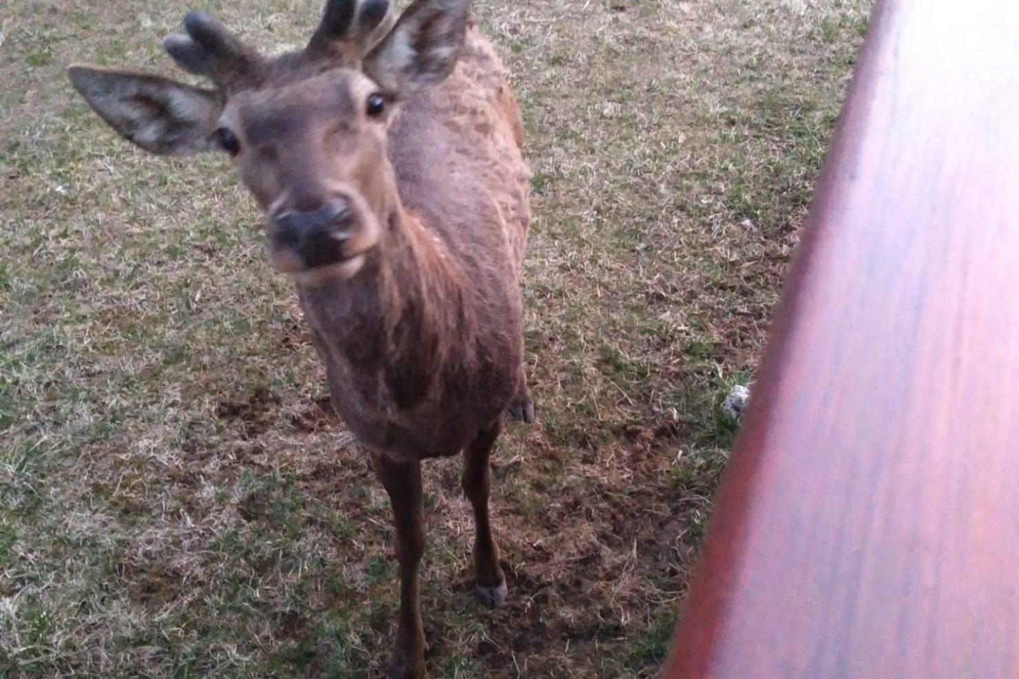 2d52cd39-5d8c-4e48-bcb6-24608593dd97