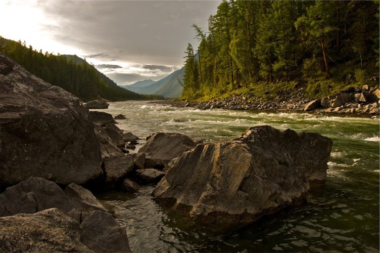creek-593146_960_720