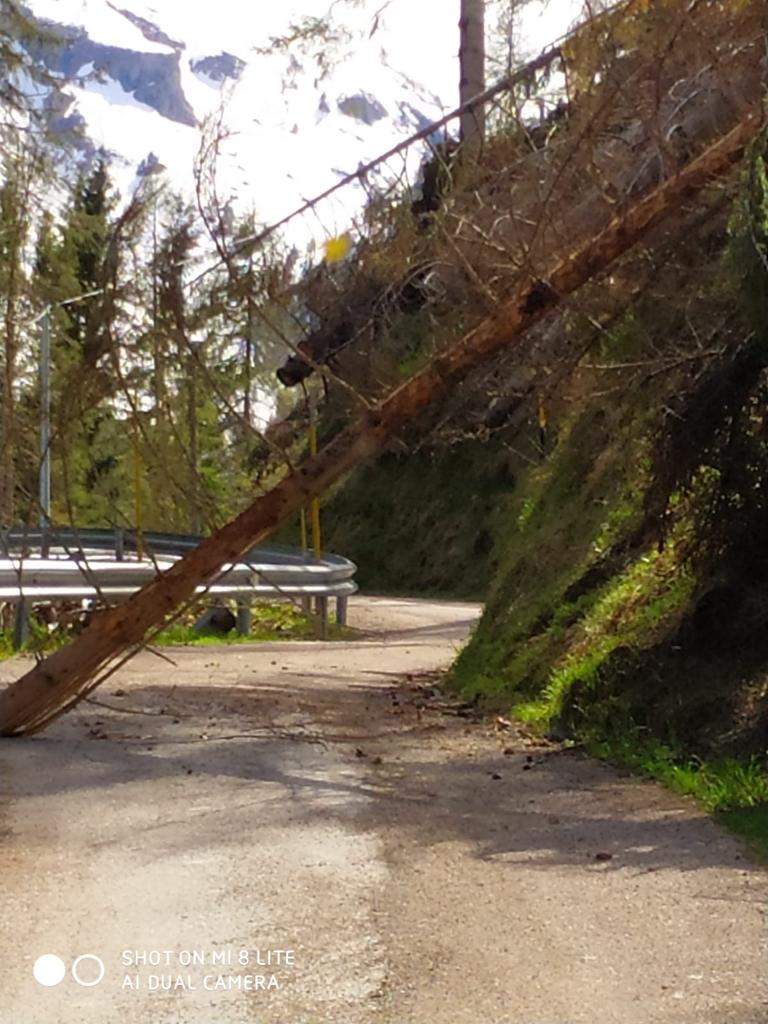 Giornale Radiopiu 05 Maggio Direttore Mirko Mezzacasa Radio Piu