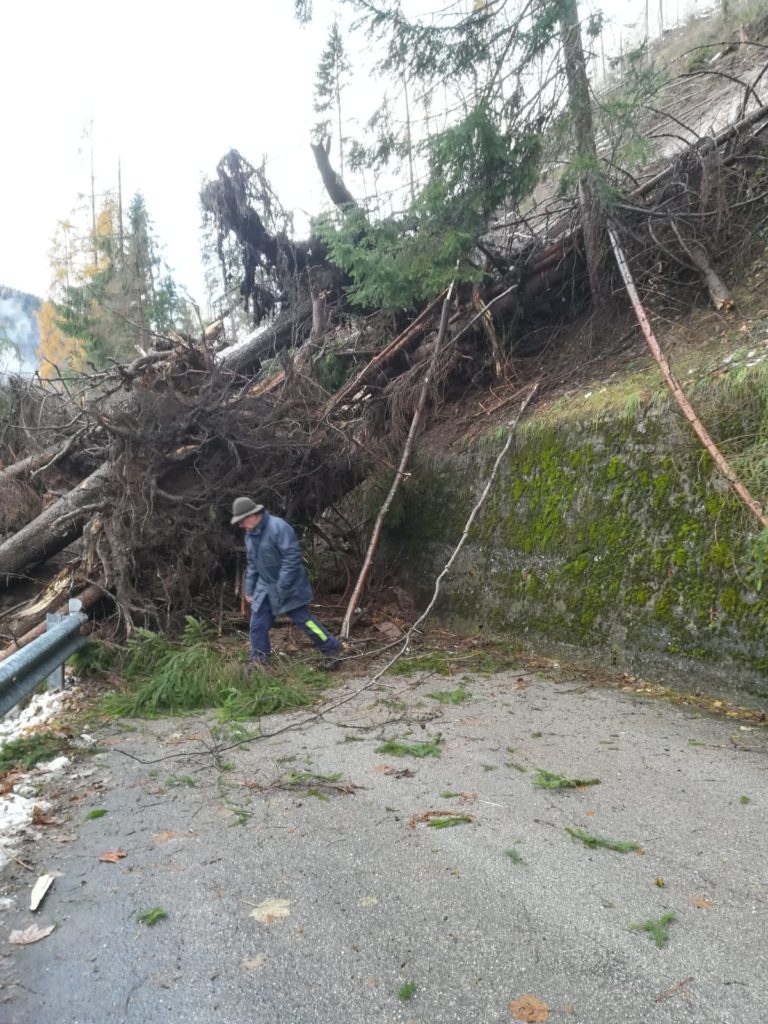 411fc31a-2297-44a7-b3cd-68b8d6ec678f